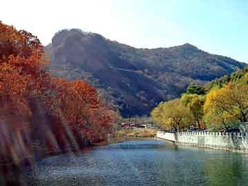 新澳门正版免费大全，上海西餐学校